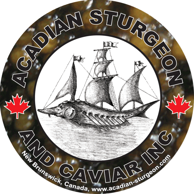 Acadian Sturgeon and Cavia